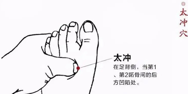 微信图片_20241122085501.jpg