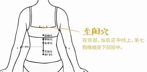 微信图片_20241223085527.jpg