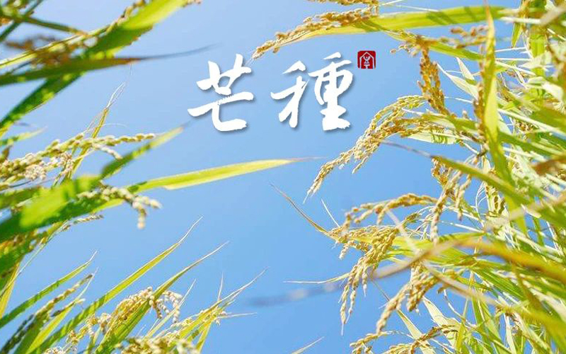 微信图片_20240605161854.jpg