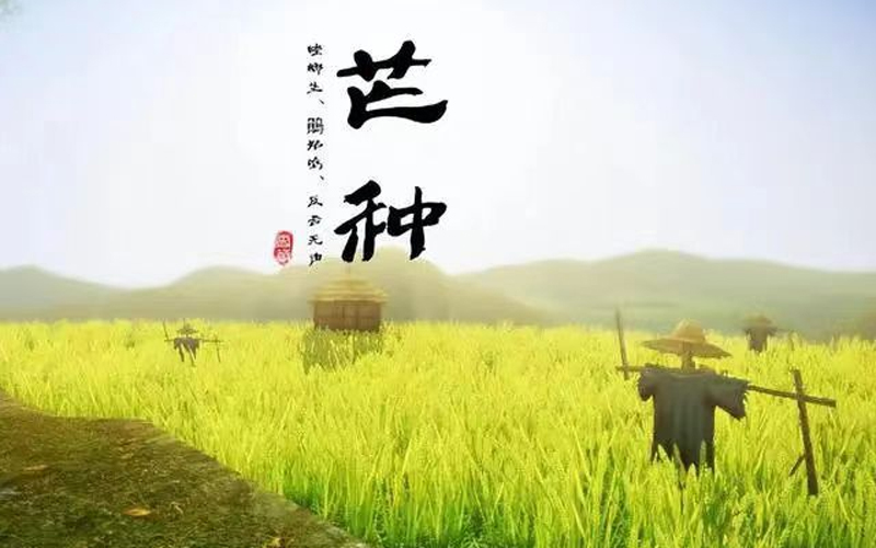微信图片_20240605161729.jpg