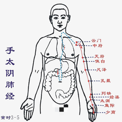 微信图片_20240807144637.jpg