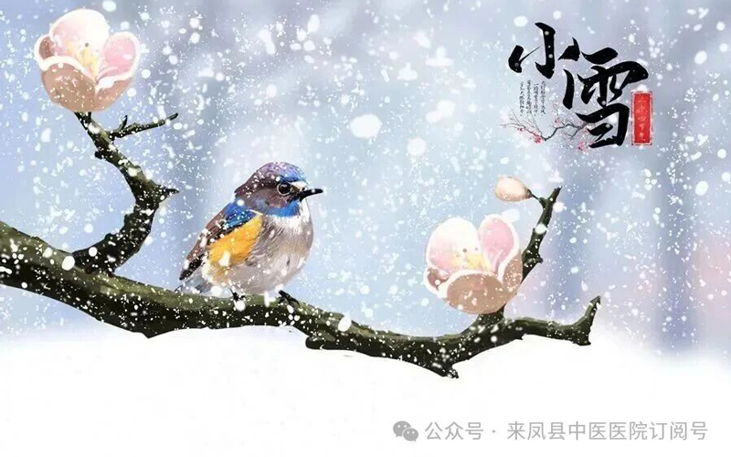 微信图片_20251124141920.jpg 微信图片_20251124141920.jpg