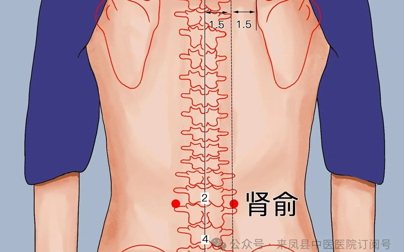 微信图片_20251124141938.jpg 微信图片_20251124141938.jpg