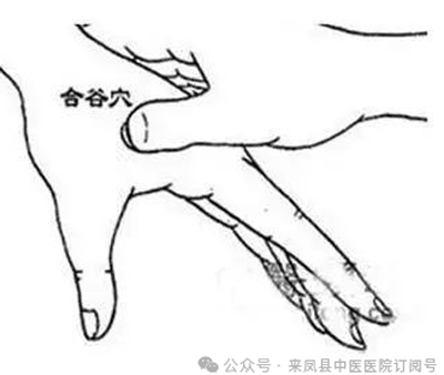 微信图片_20250320100505.jpg