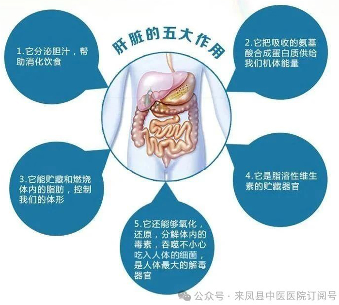 微信图片_2025-07-28_095612_098.jpg