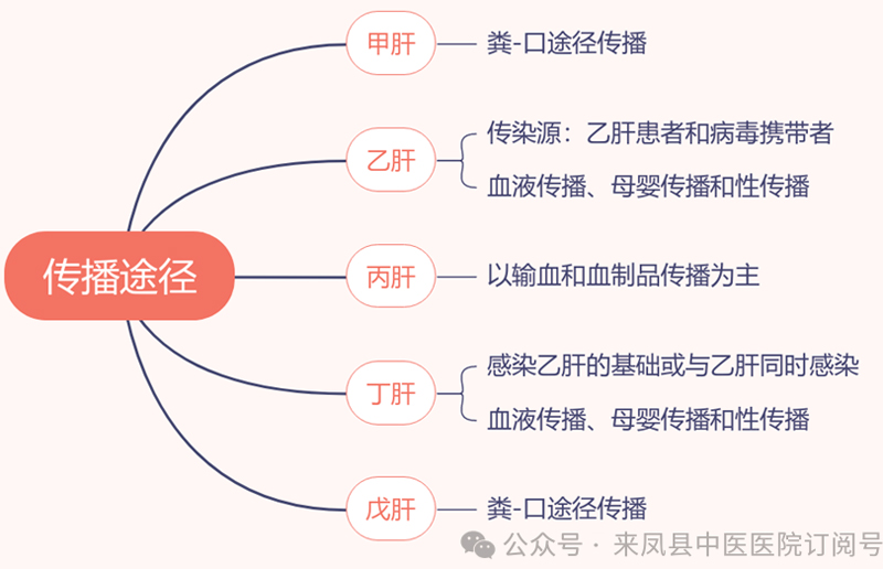 微信图片_2025-07-28_095634_166.jpg