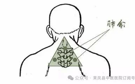 微信图片_2025-08-07_094110_898.jpg