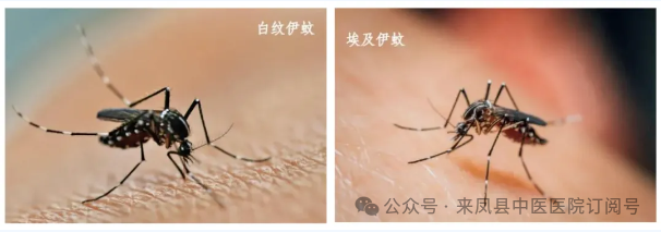 微信图片_2025-08-11_150137_394.png